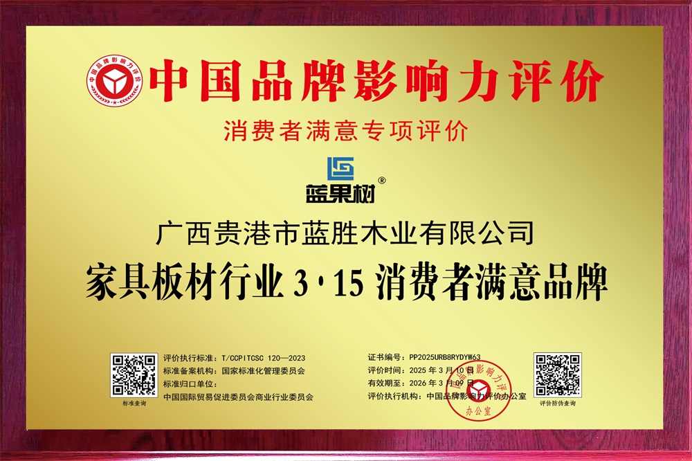 2025品牌影響力評價