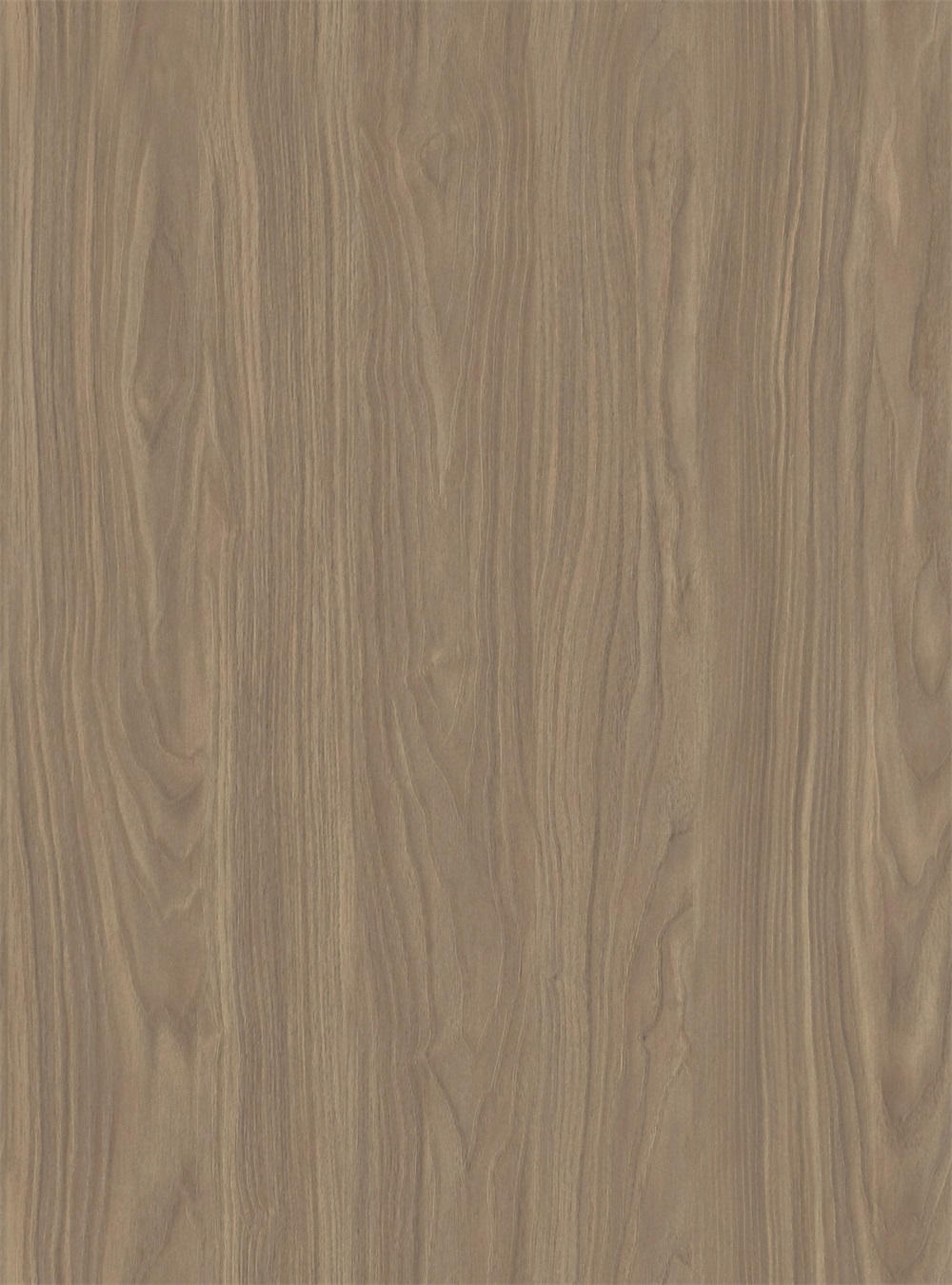 /huase/2025-05-30/168.html